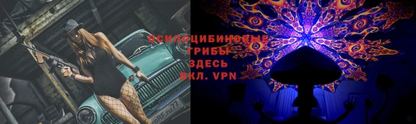 прущие грибы Балабаново