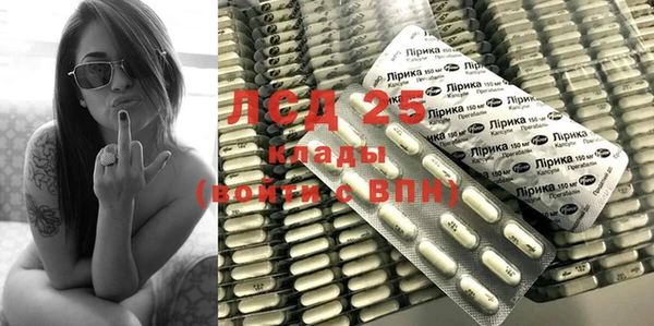 прущие грибы Балабаново
