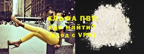 прущие грибы Балабаново