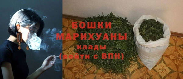 прущие грибы Балабаново