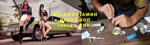 прущие грибы Балабаново