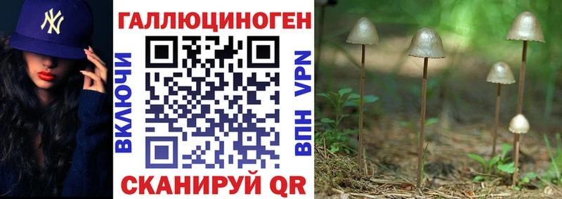 Галлюциногенные грибы Cubensis  Купить закладки  Нововоронеж 